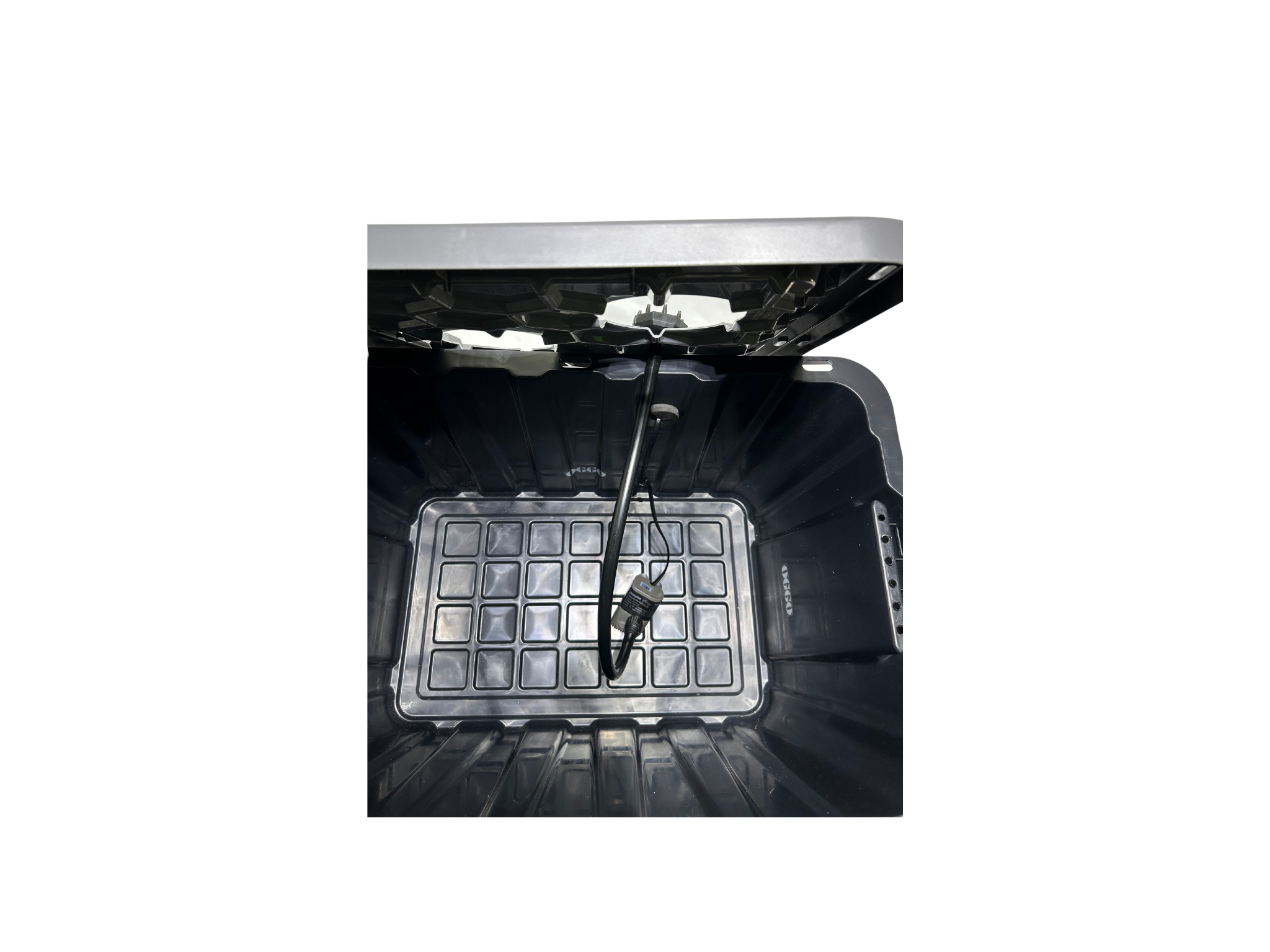 Untitled design-9.png