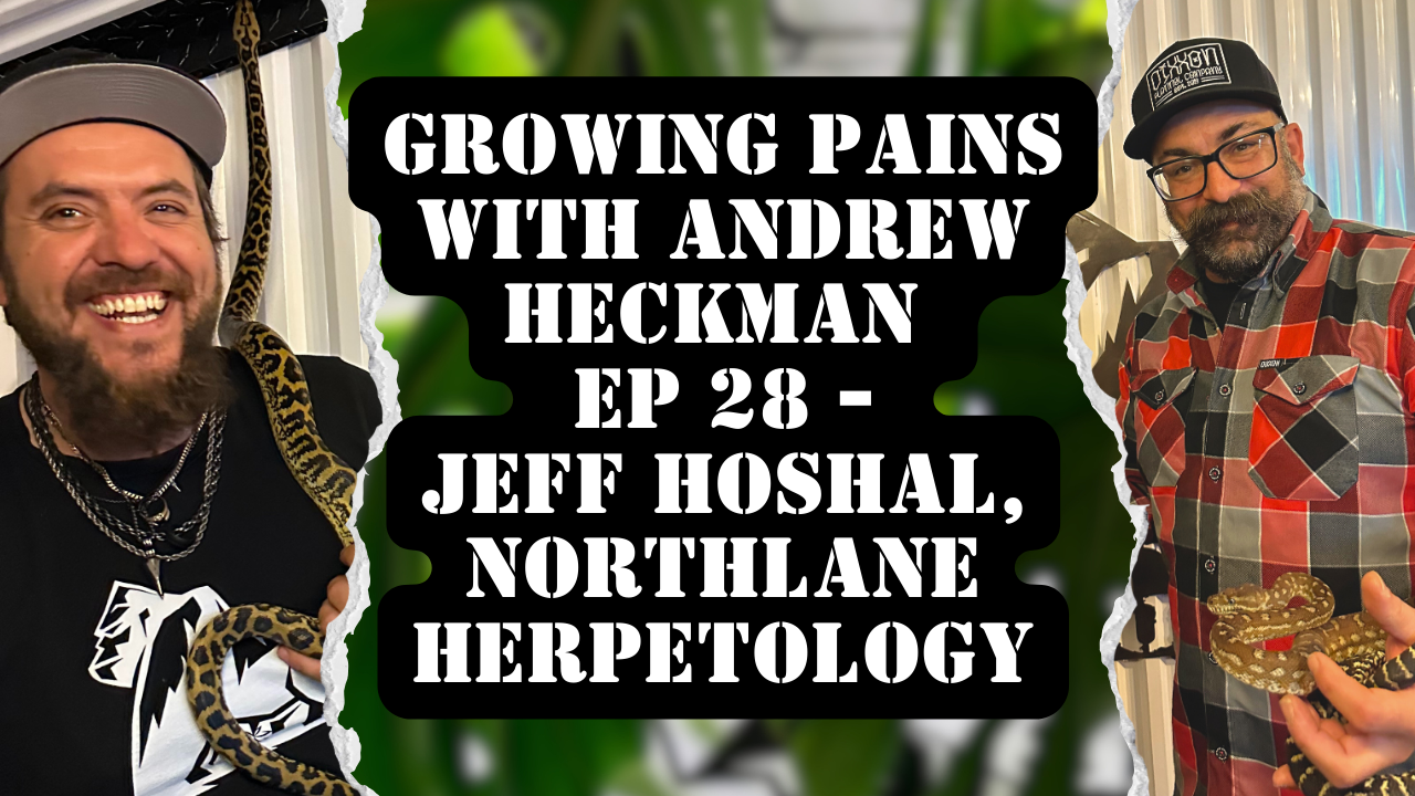 Growing Pains with Andrew Heckman - Ep28 - Jeff Hoshal, Northlane Herpetology🐍