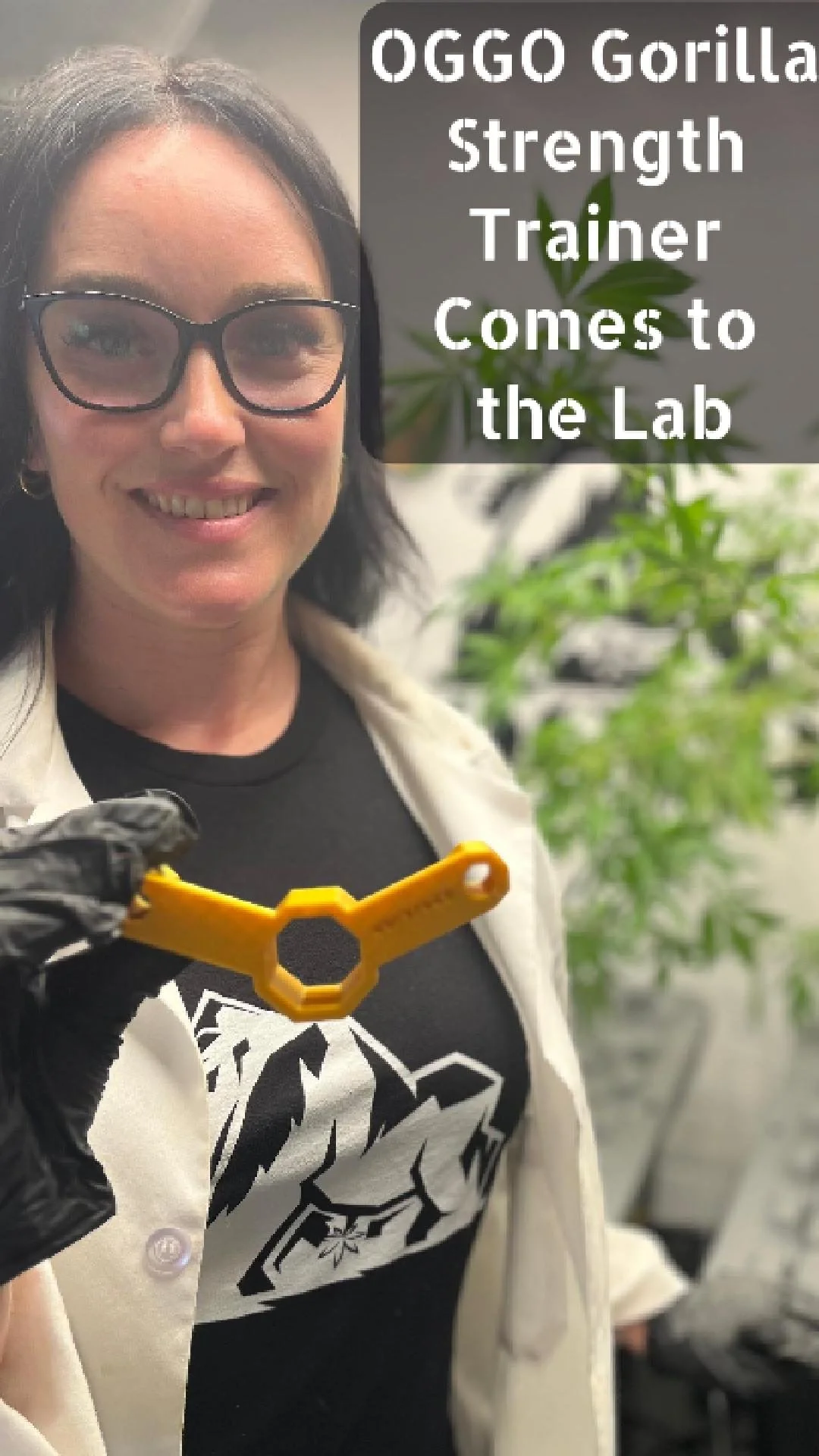 Ali using OGGO GST-Cover.jpg