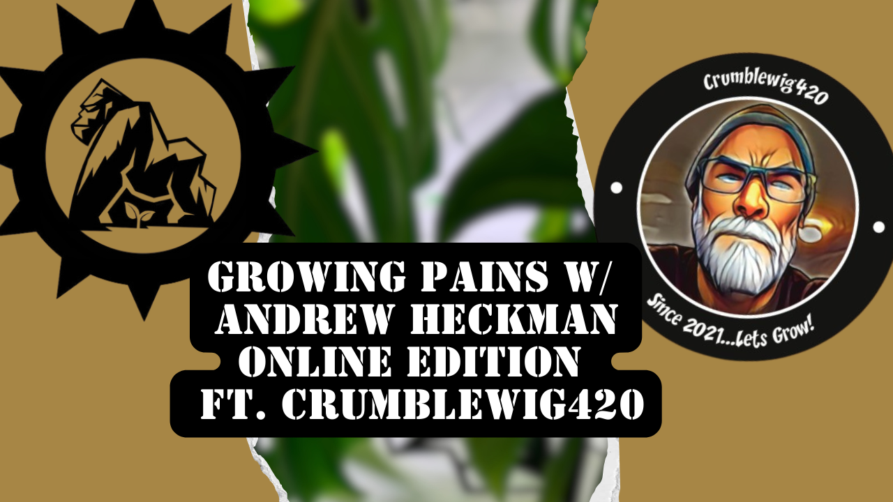 Crumblewig Thumbnail.png