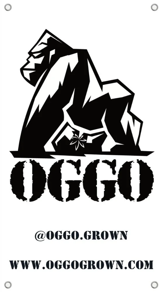 Image 2025-11-09 at 2.42 PM.jpeg