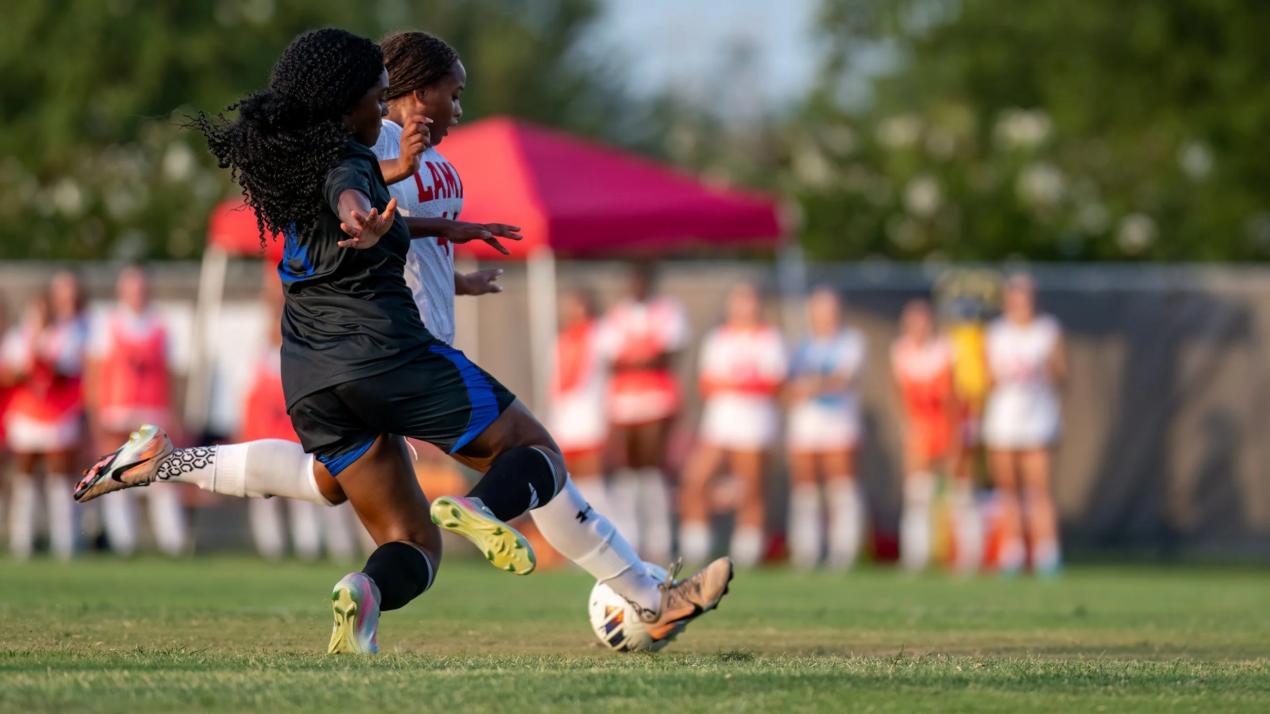 DSC_1750-Edit.jpg
