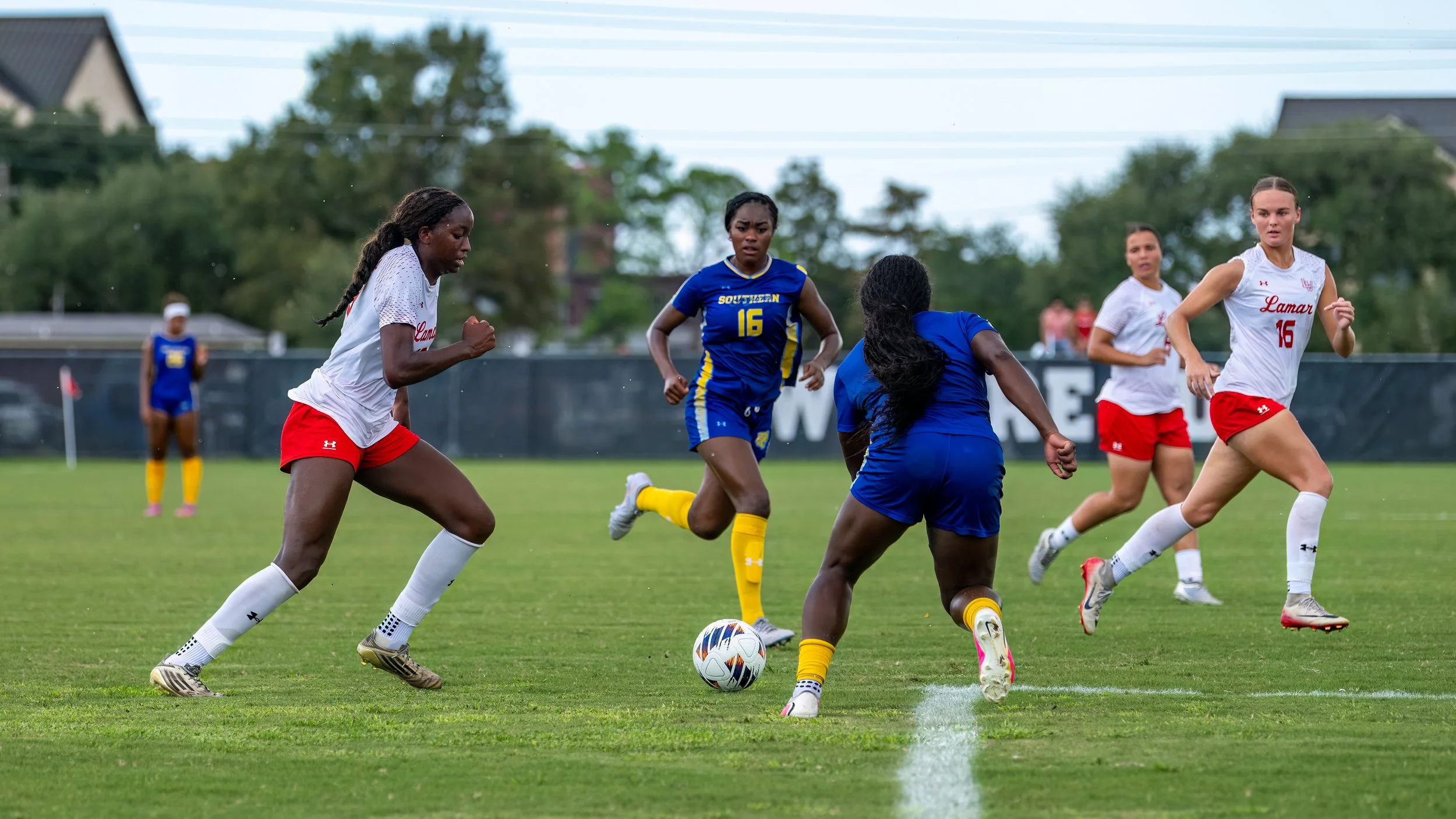 DSC_5515-Edit.jpg