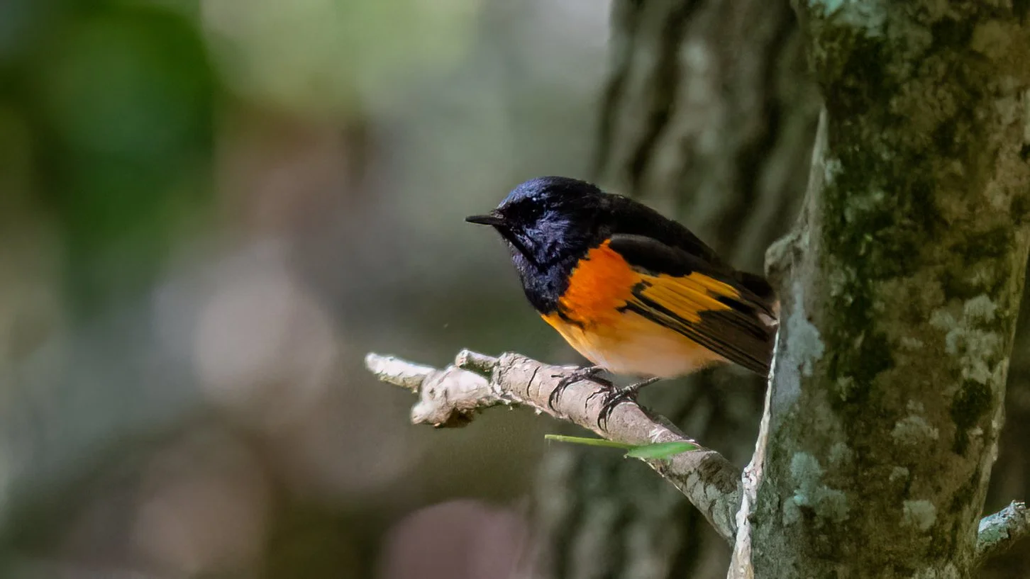 DSC_0314-Edit.jpg
