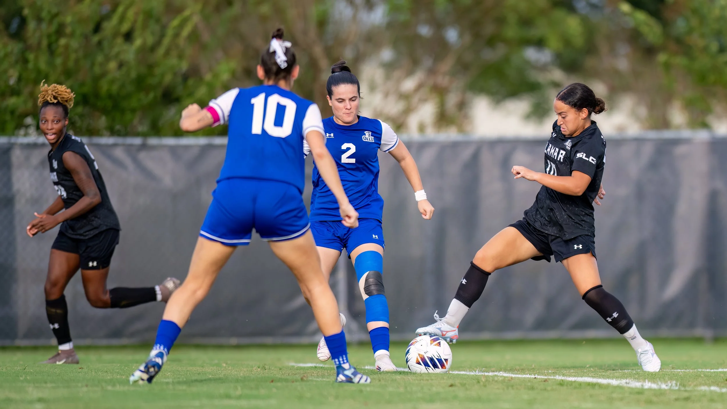 DSC_3379-Edit.jpg