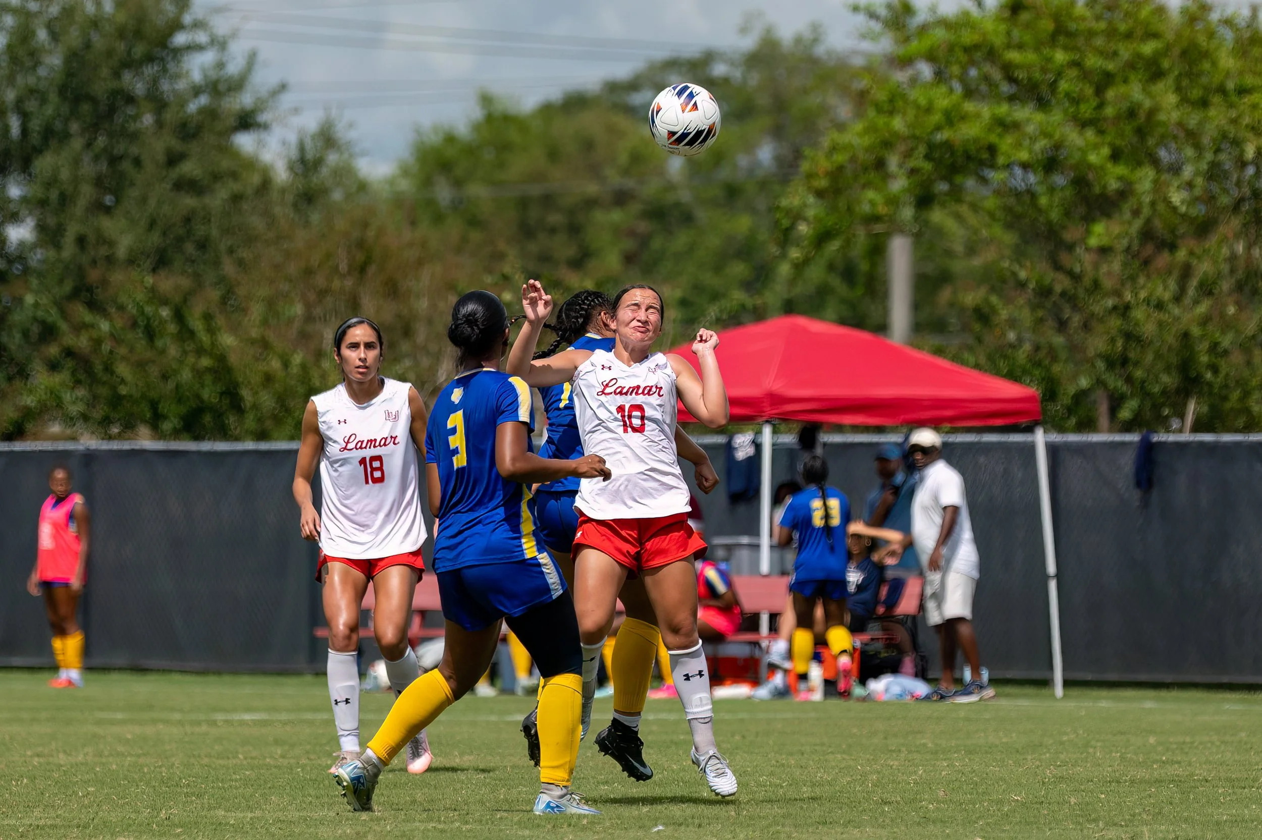 DSC_5193-Edit.jpg