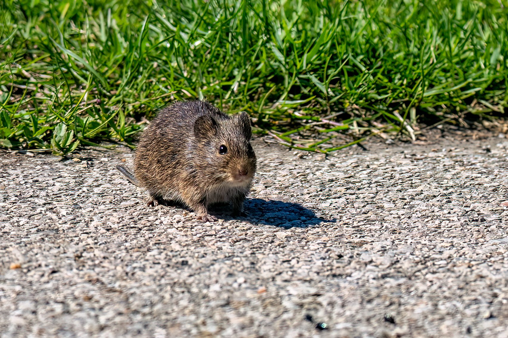DSC_0452-Edit.jpg