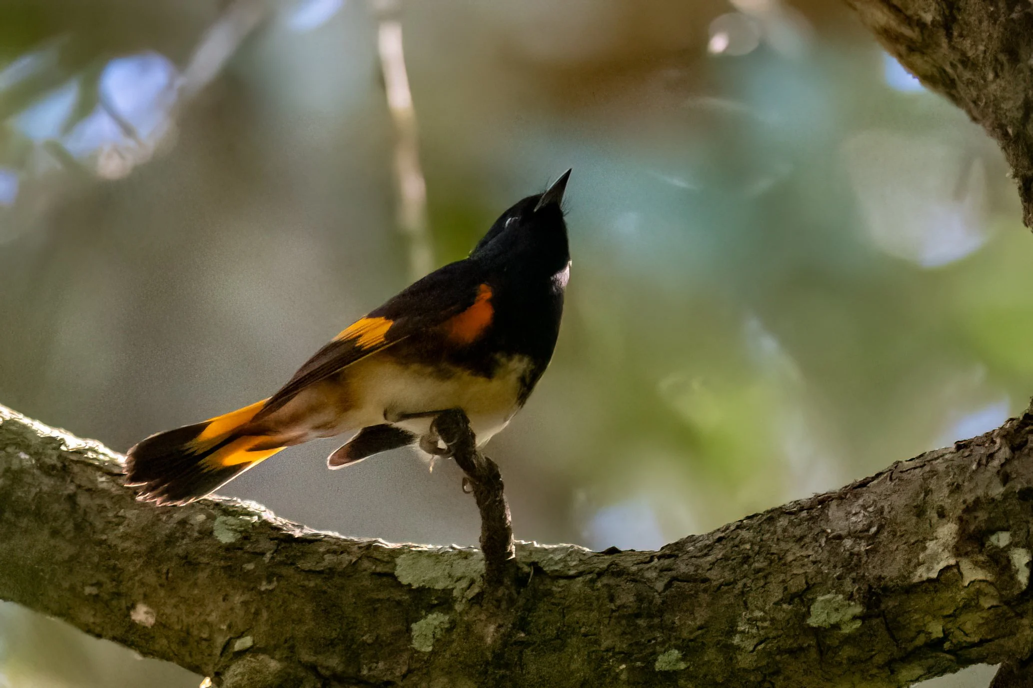 DSC_0298-Edit.jpg