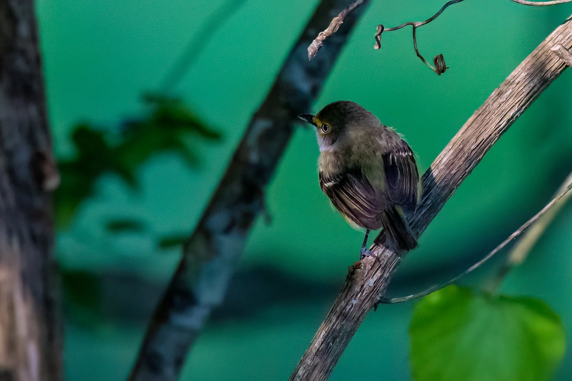 DSC_0239-Edit.jpg
