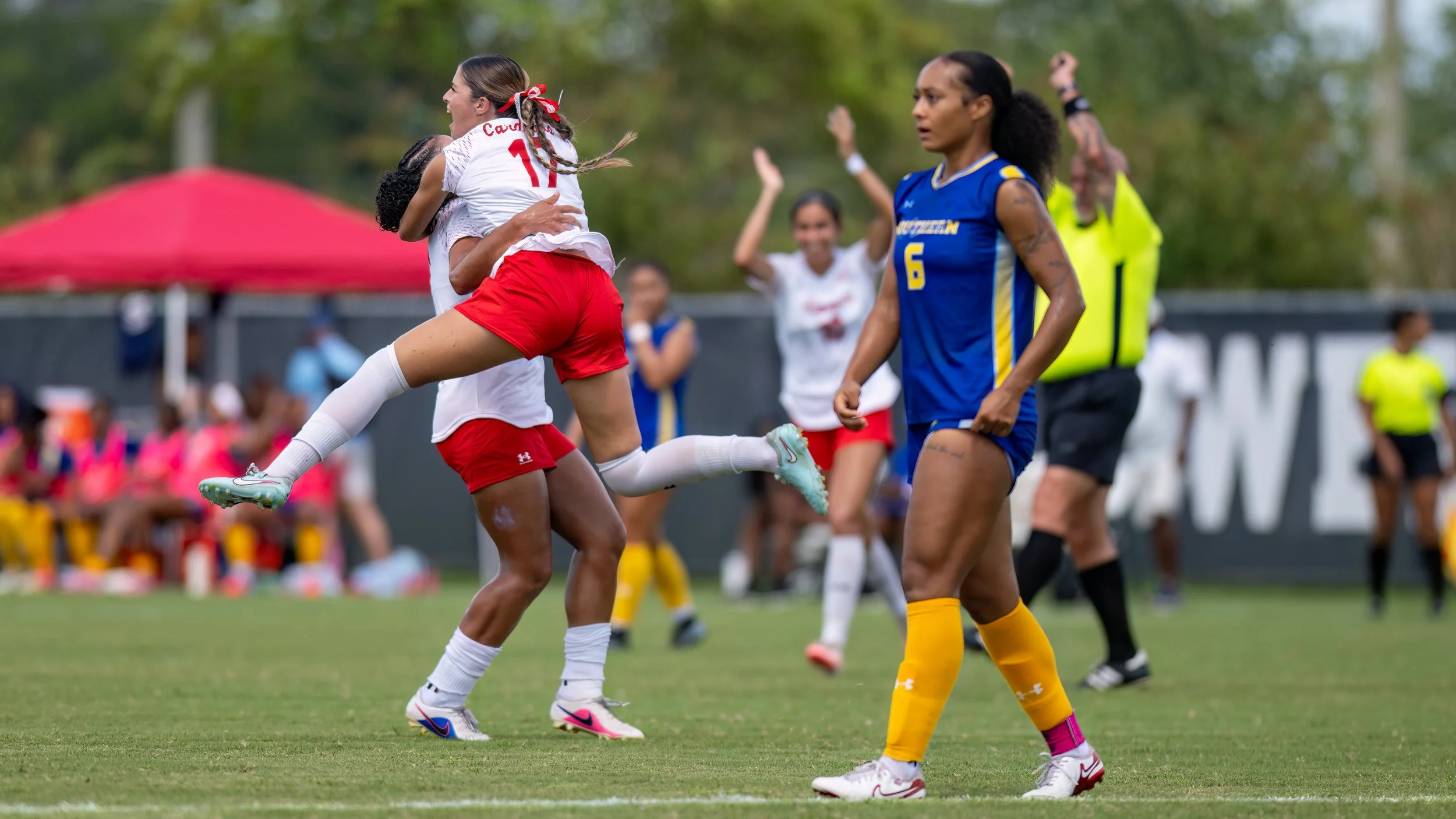 DSC_5103-Edit.jpg