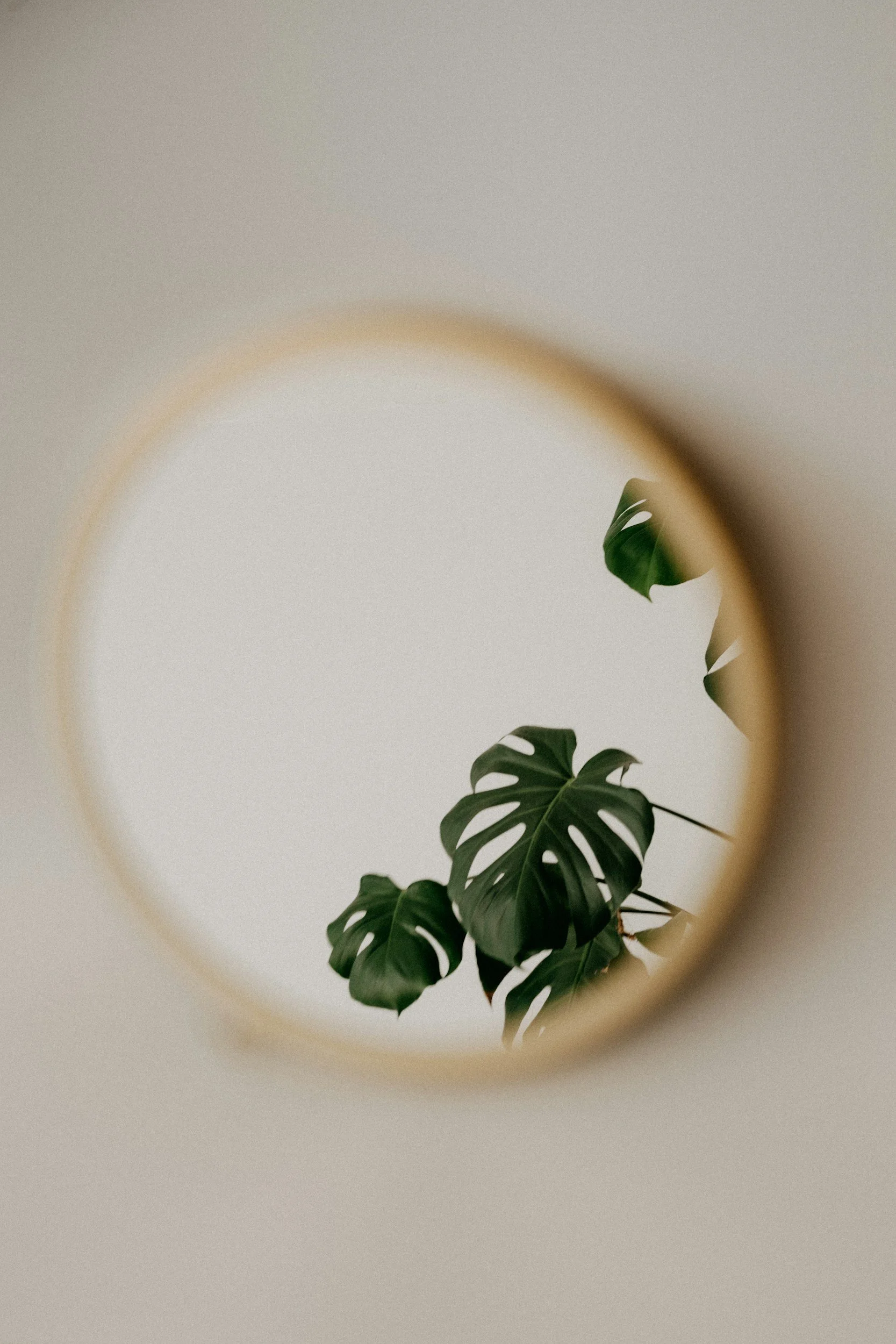 Reflection of a green plant in a mirror symbolizing mindful productivity, self-care, balance, and personal growth.