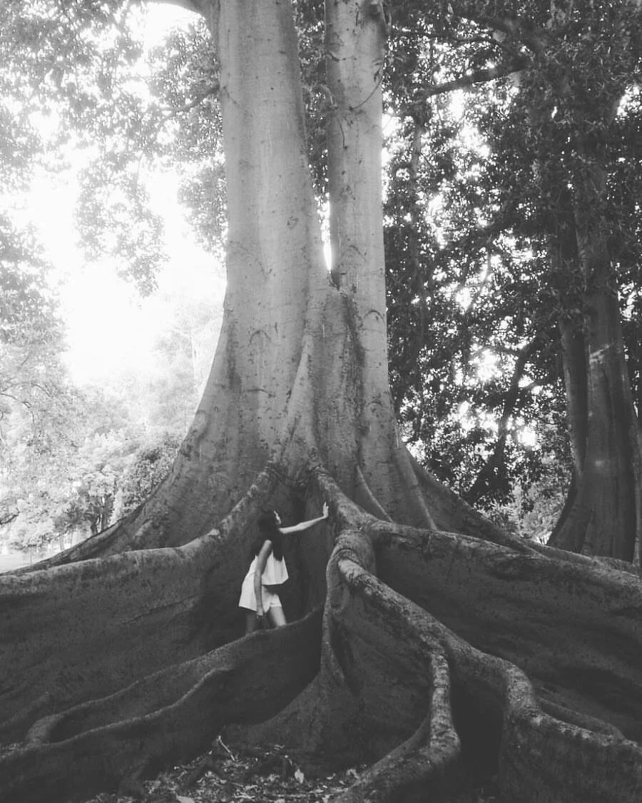 Carolina Santos touching an old tall majestic tree Be Well Coaching