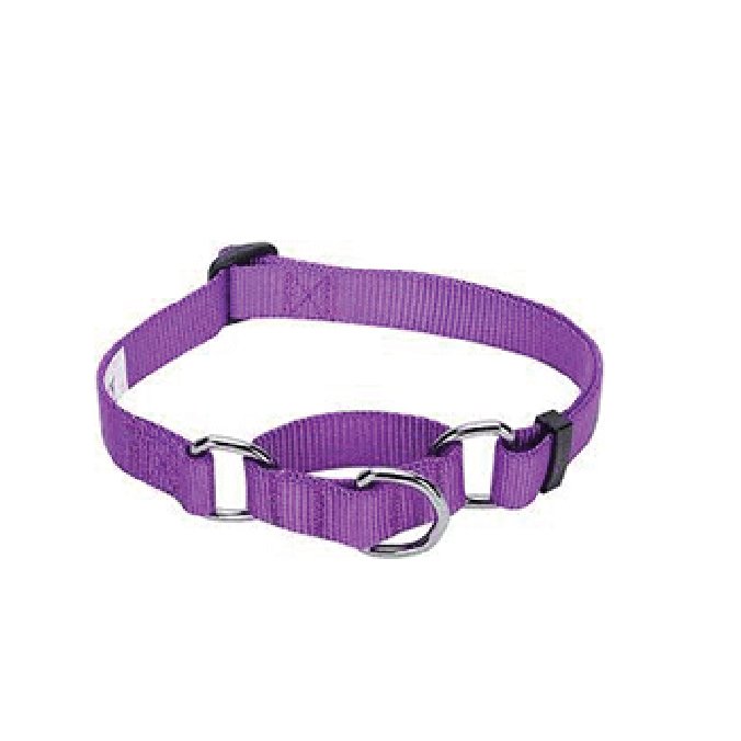 Martingale Collar - Blueberry Pet