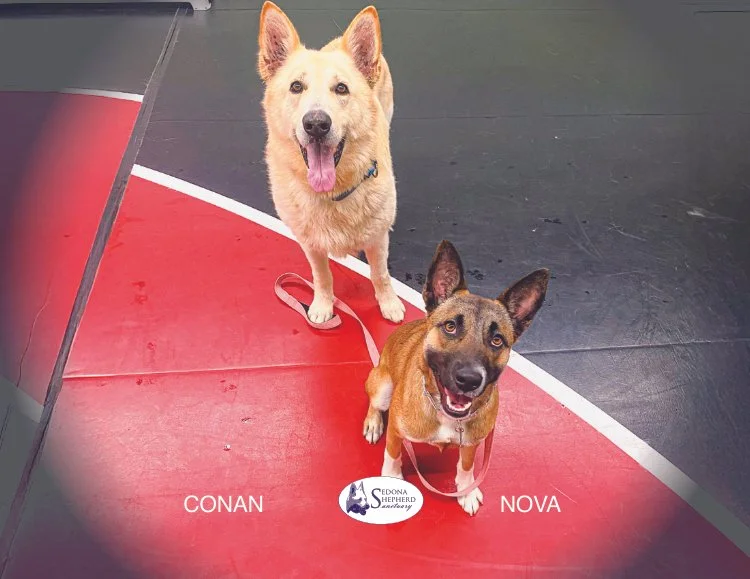 Back Cover Conan and Nova.jpg