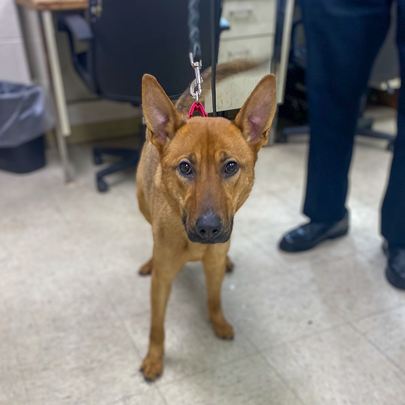 Serious at Paterson.png