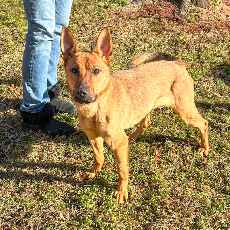 Standing Outside Paterson.png