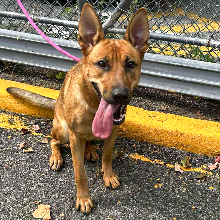 Sitting Outside Paterson.png