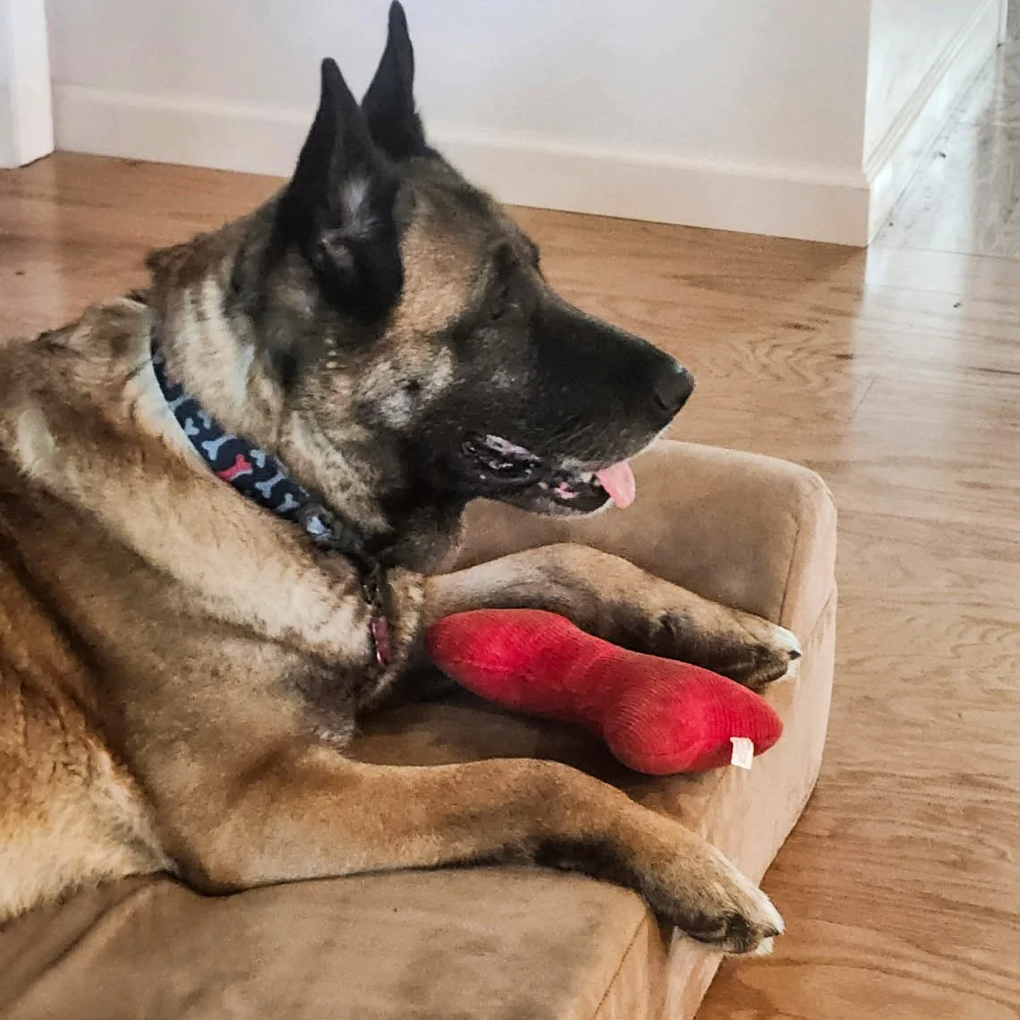 MAria Bed Side Ann.jpg