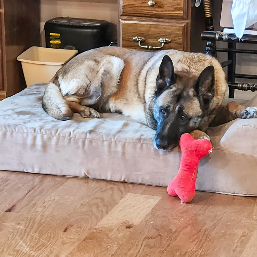 Maria Bed at Ann.jpg