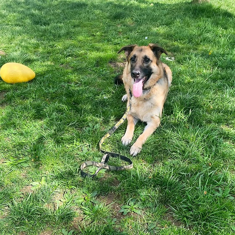 Maya with Egg Ball.jpg