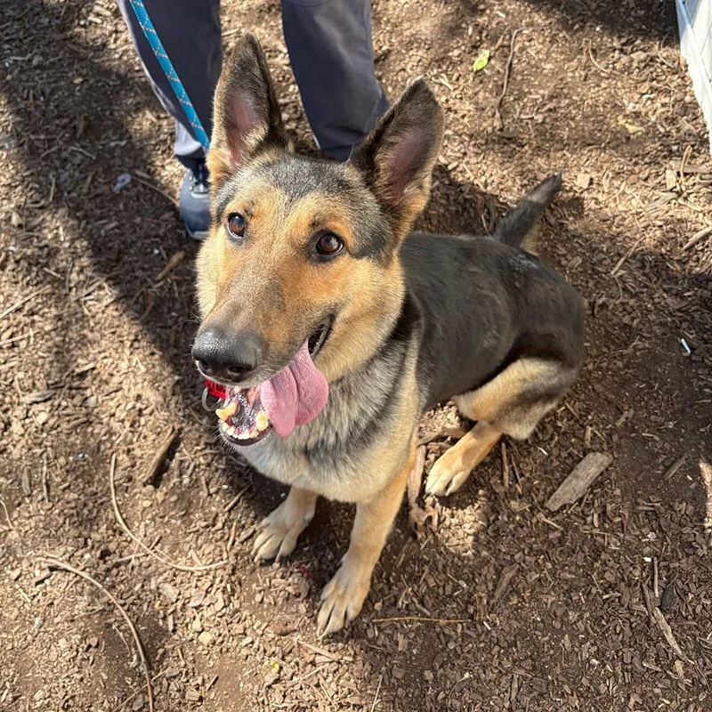 Klara Happy Tongue.jpg