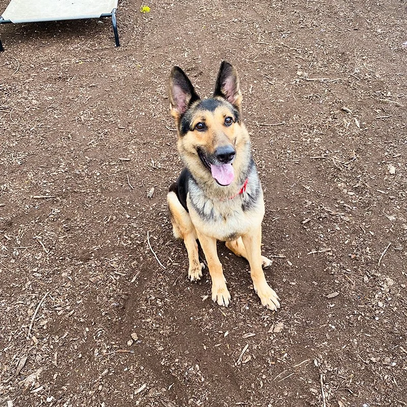 Klara Yard Sit 1.jpg