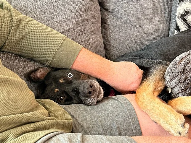 Laying on Couch2.jpg