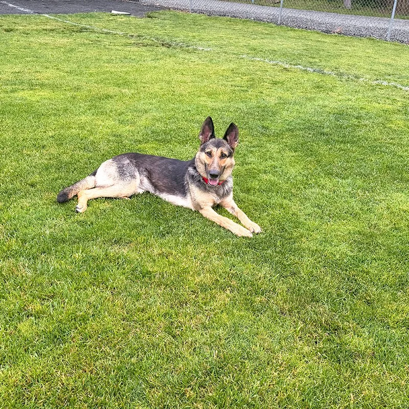 Klara Down Baseball Field.jpg