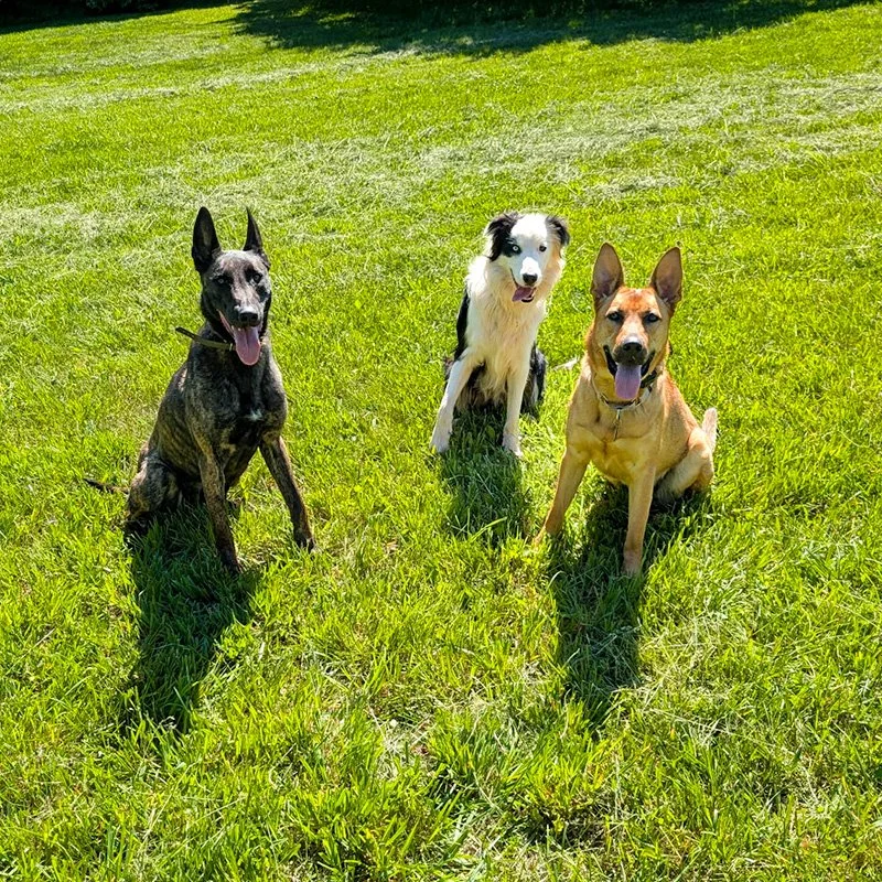 Bonnie and Friends at Walters.jpg