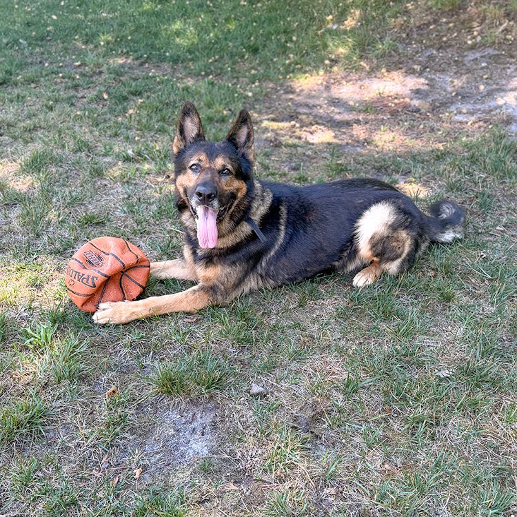 Rambo