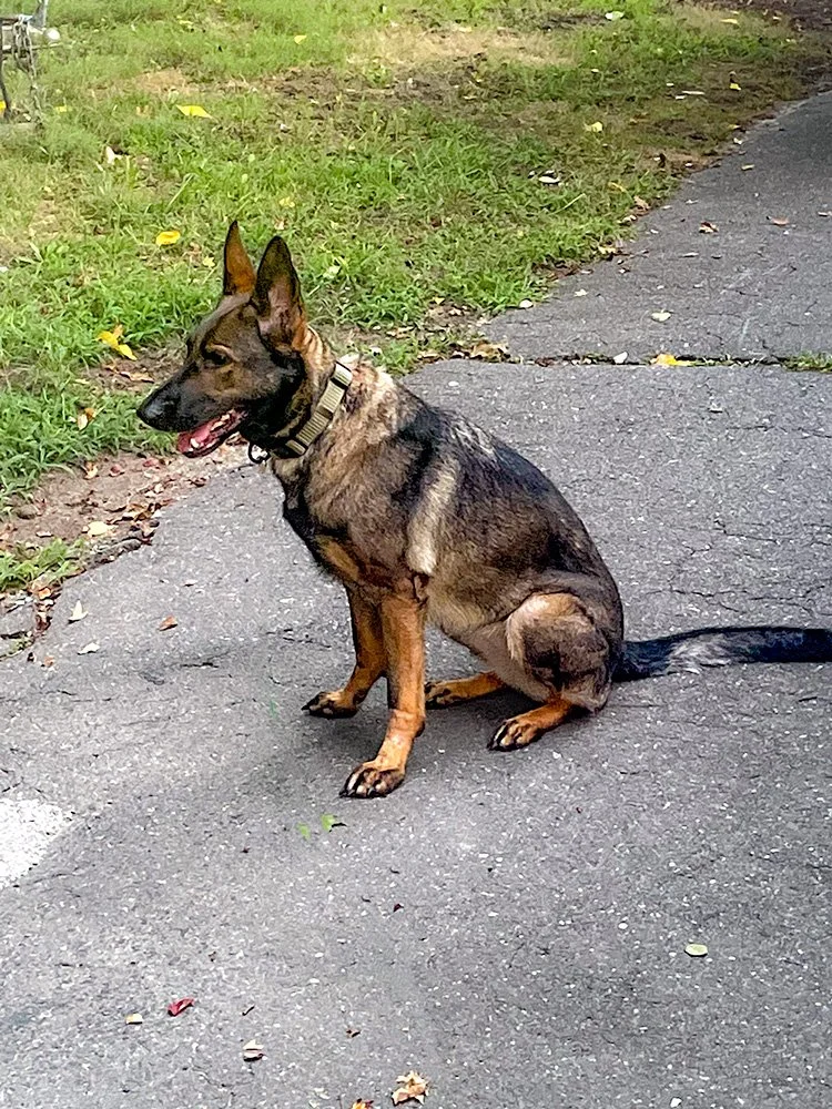 Kota