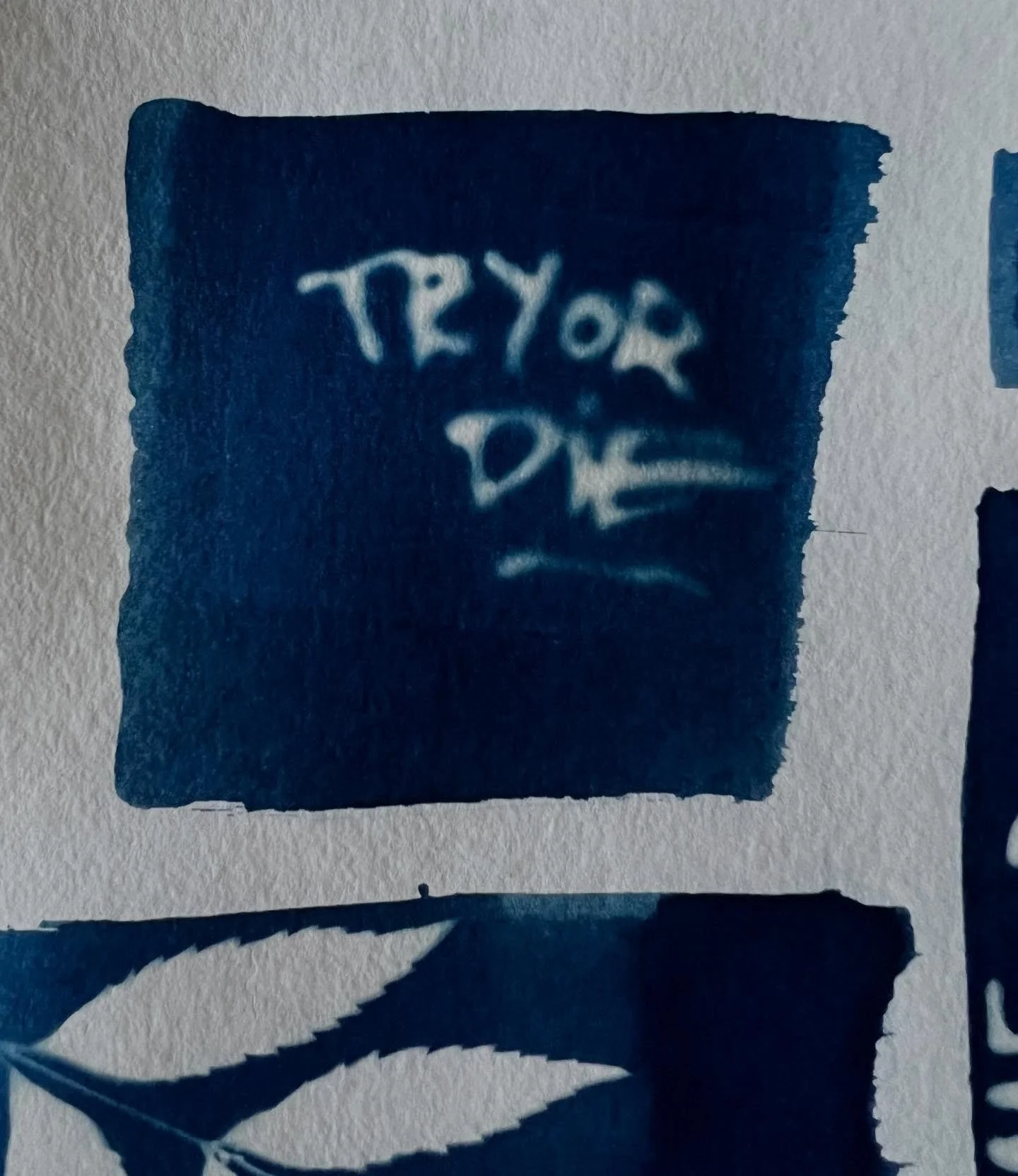 Cyanotype of some graffiti I saw a few years ago