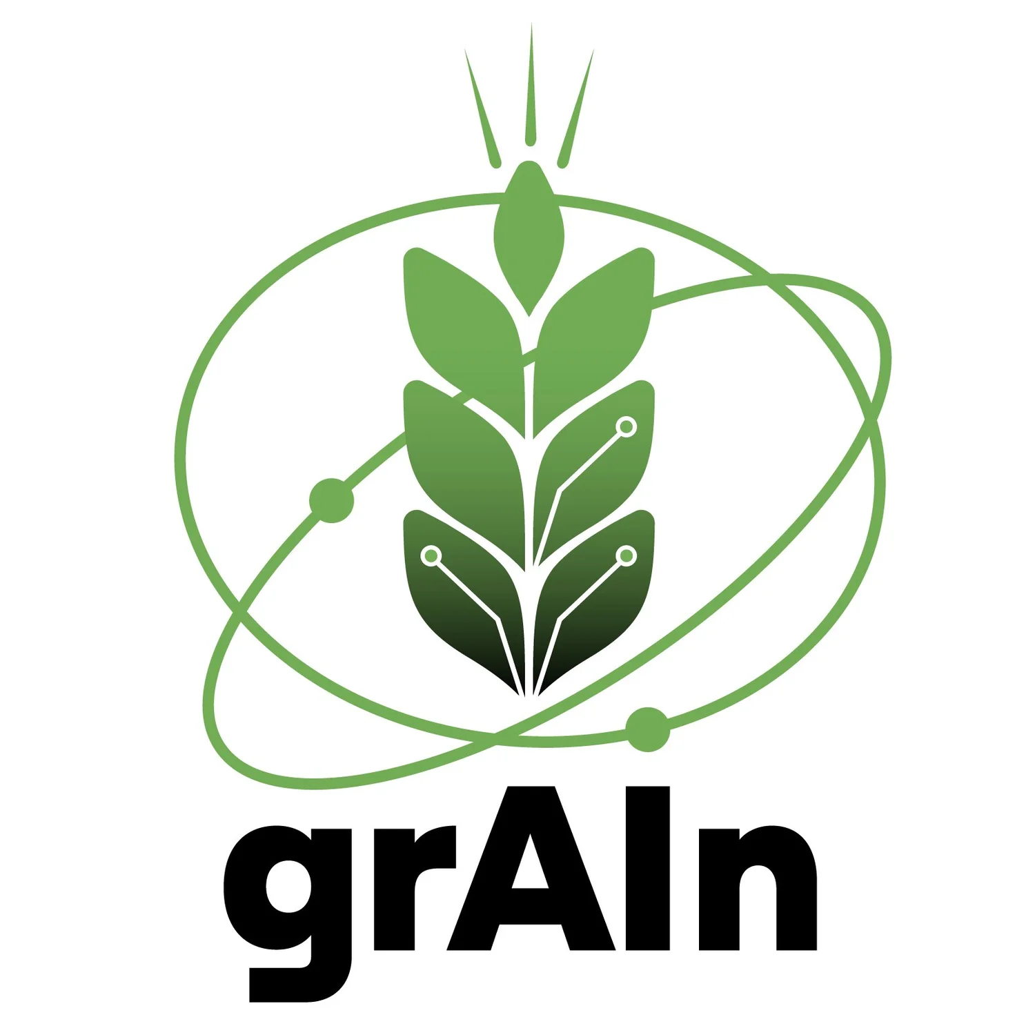 ARC Research Hub in Responsible AI for a Sustainable Grain Industry (gRAIn)