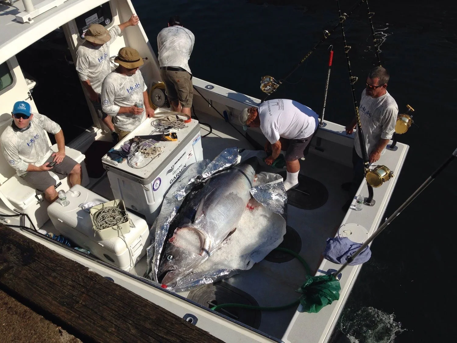 Fish Handling Compass Seafood