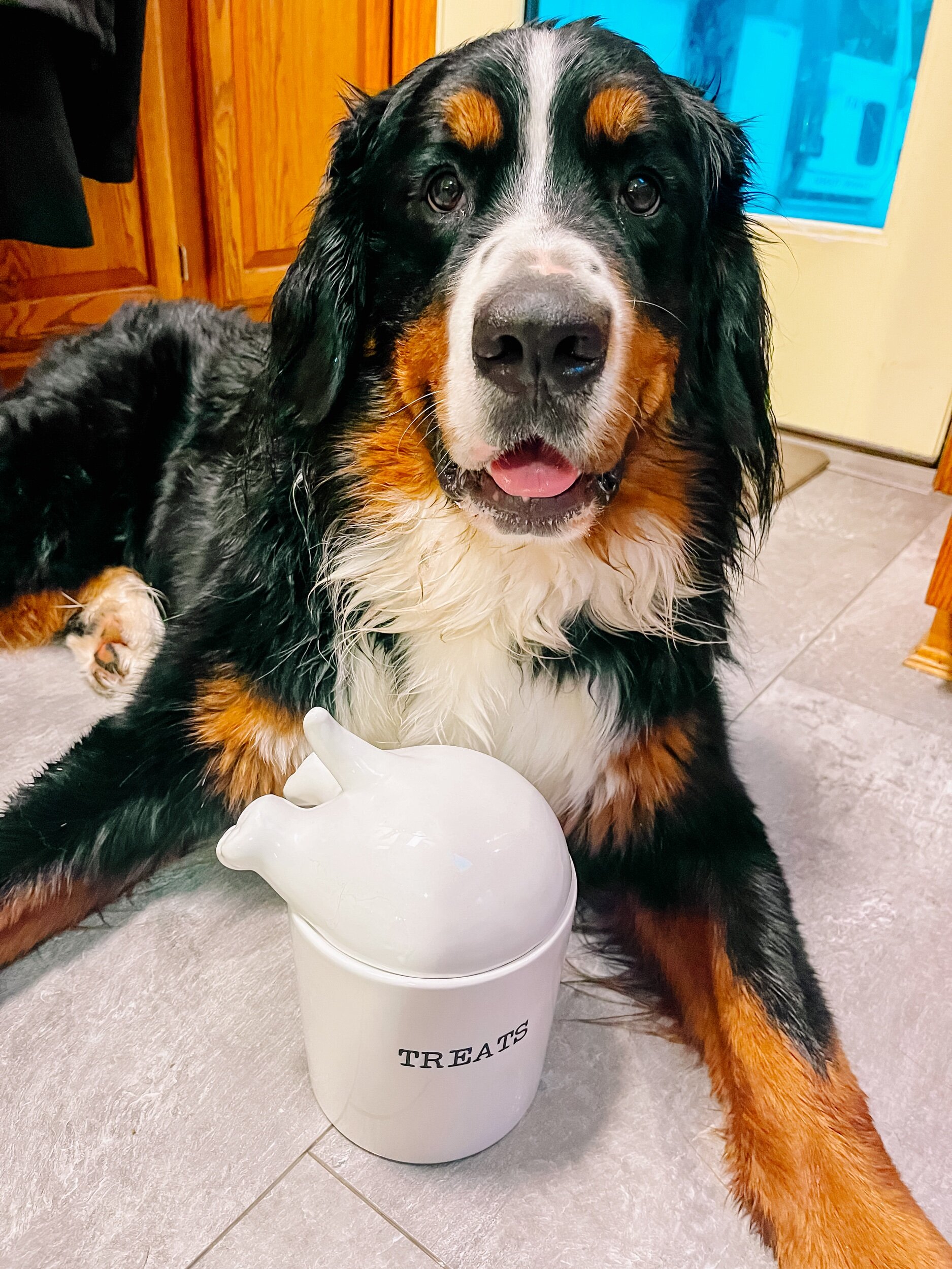 2F84E71E-8D4C-4A50-AE20-62B3A4D6E5D5