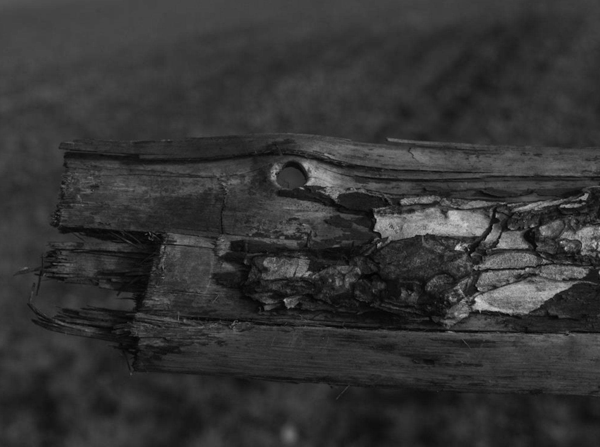 Série photo de Christian Taquet en noir et blanc dans les Cévennes en Lozère