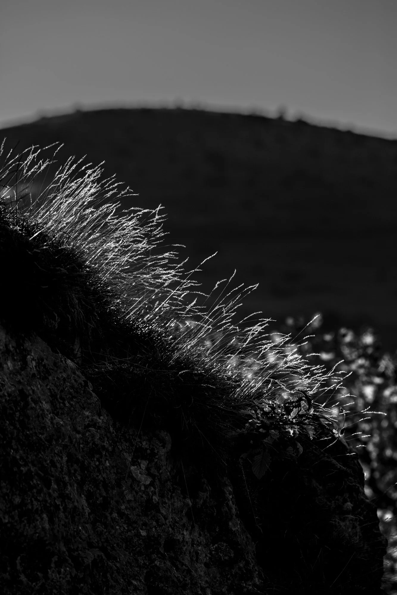 Série photo de Stéphane Ouradou en noir et blanc dans les Cévennes en Lozère