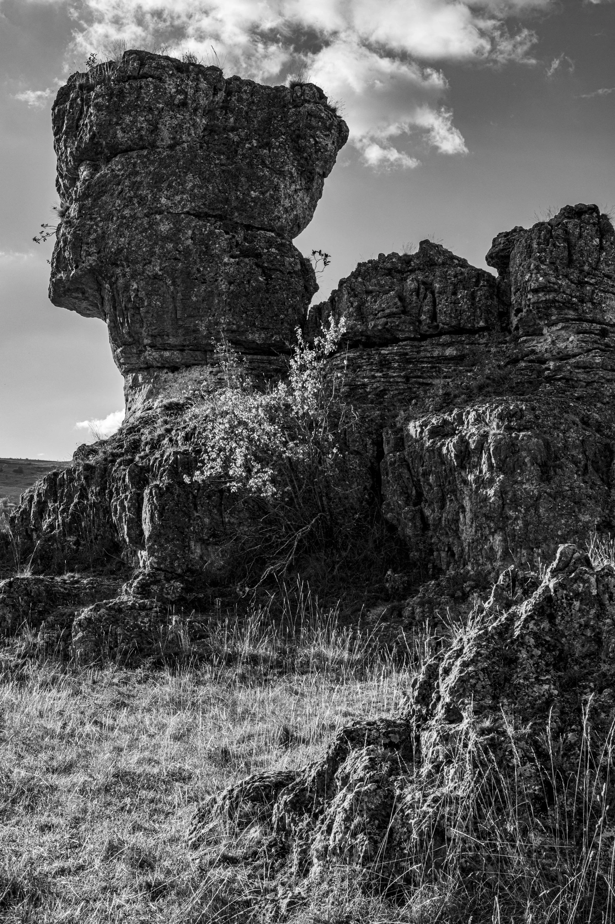Série photo de Philippe Alliel en noir et blanc dans les Cévennes en Lozère