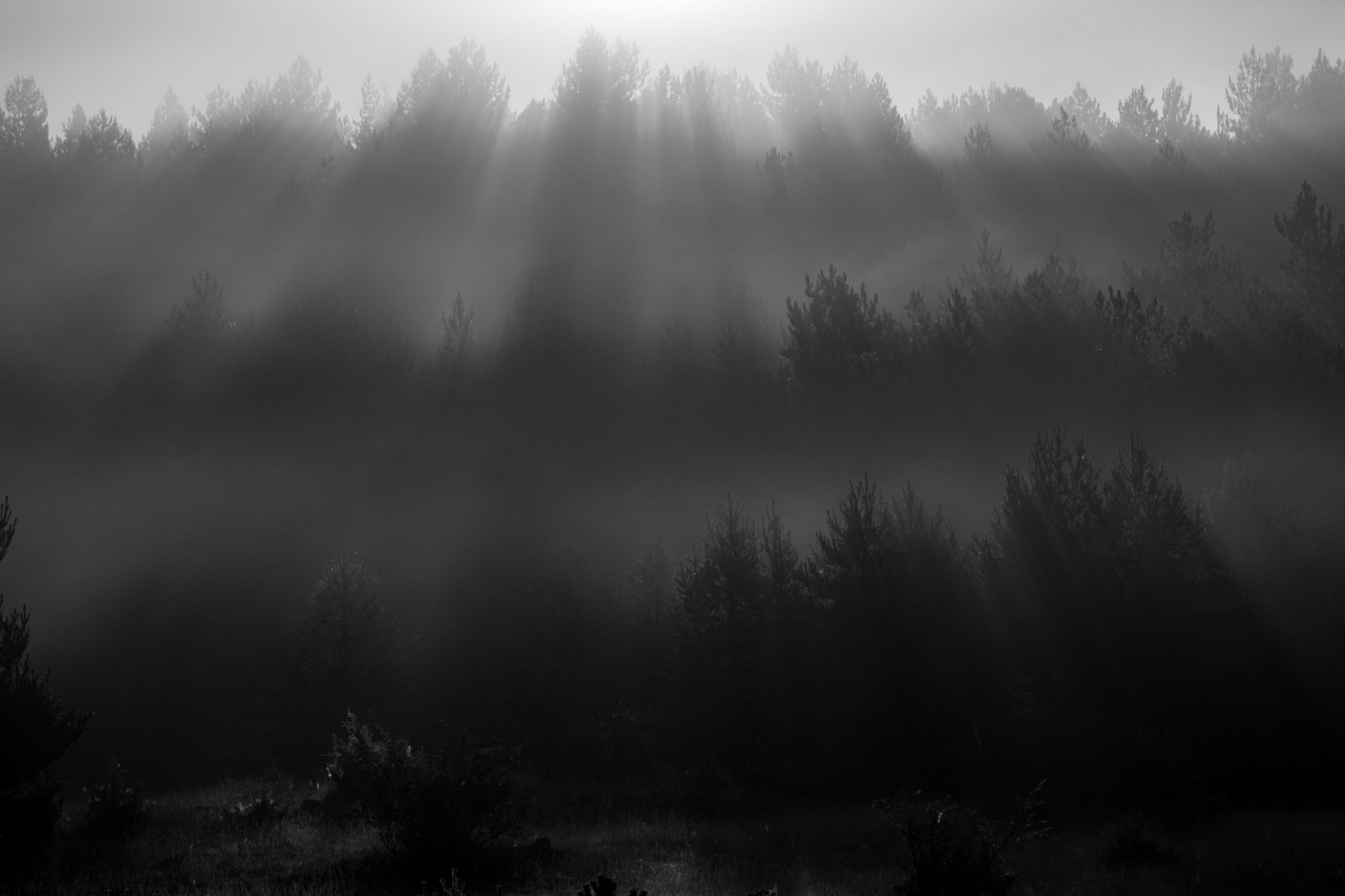 Série photo de Stéphane Ouradou en noir et blanc dans les Cévennes en Lozère