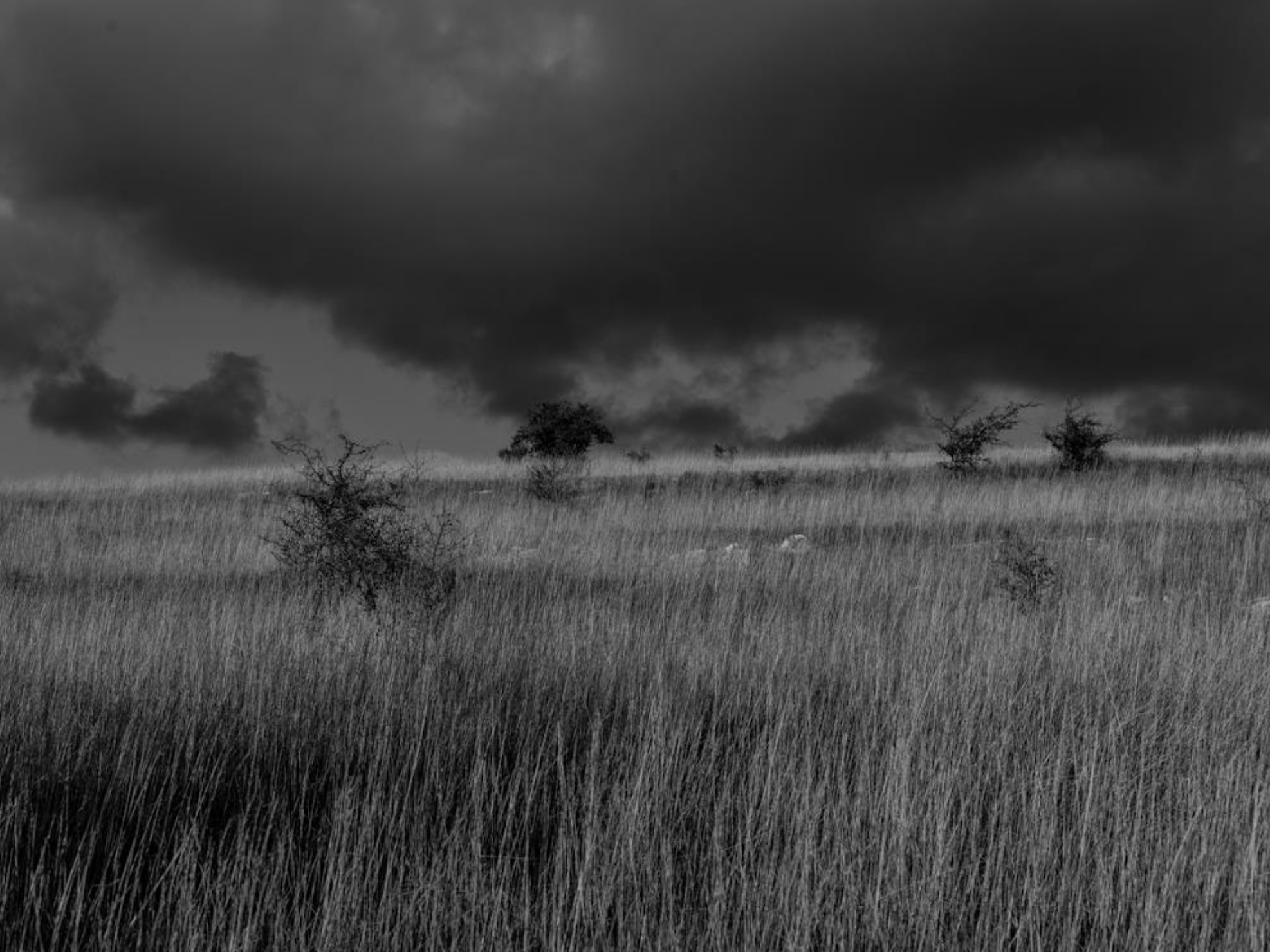 Série photo de Christian Taquet en noir et blanc dans les Cévennes en Lozère