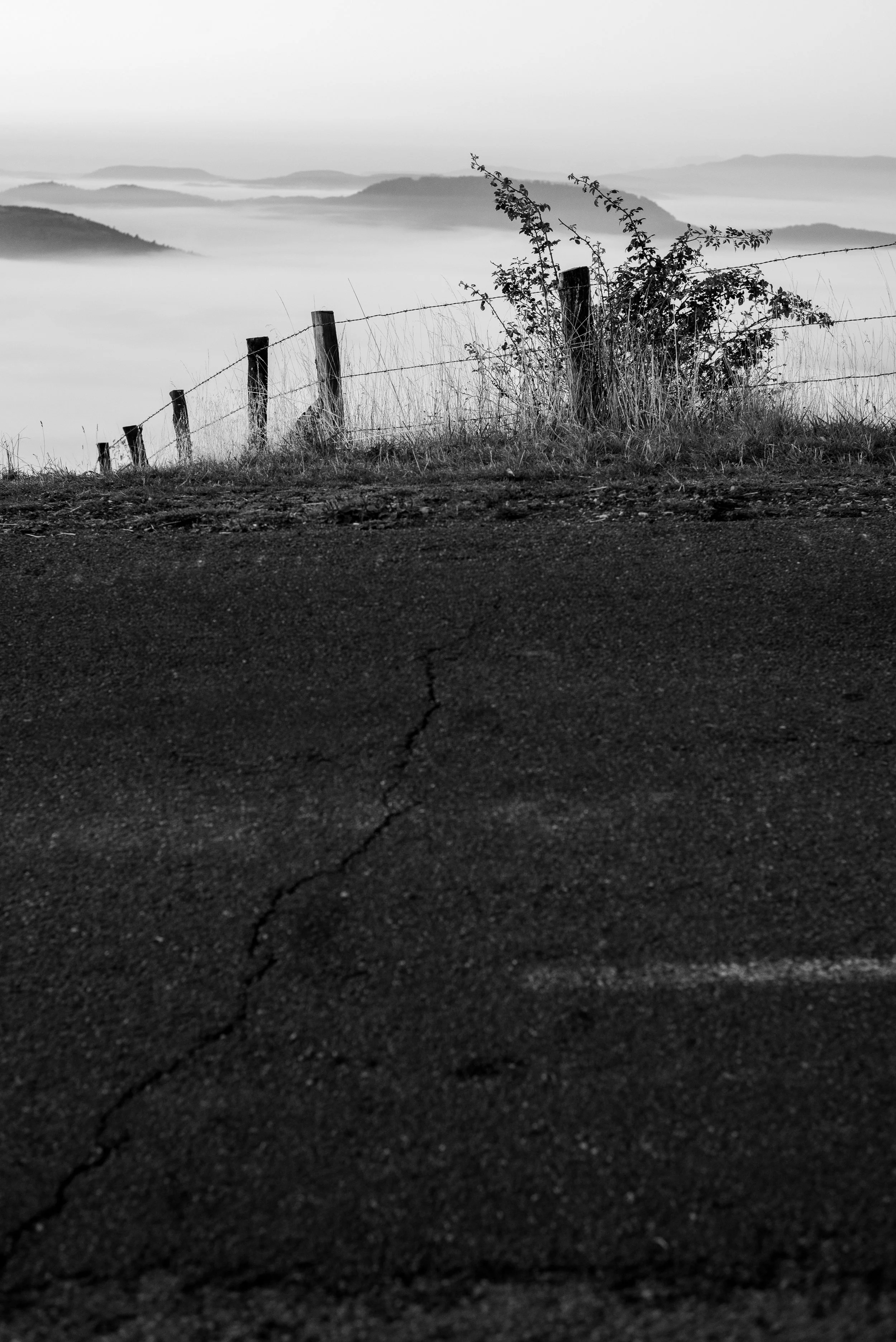 Série photo de Cécile Chauveau en noir et blanc dans les Cévennes en Lozère