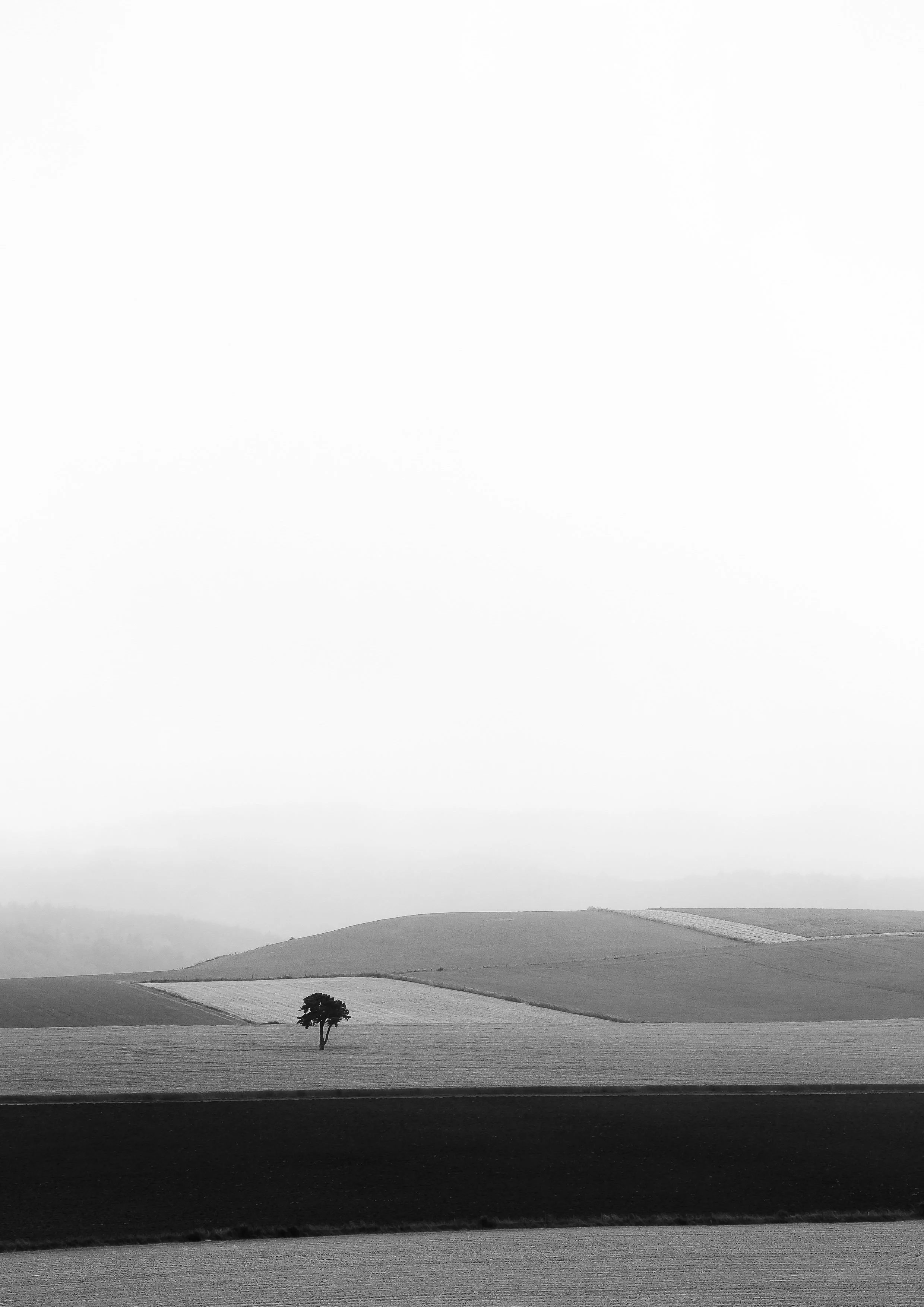 Paysage de la Lozère, capturant sa beauté rude, ses contrastes et l'omniprésence du vent. Photographie issue de la série de Jean-François Pighin, développée dans le cadre du mentorat photo en ligne de Préludes Photo.