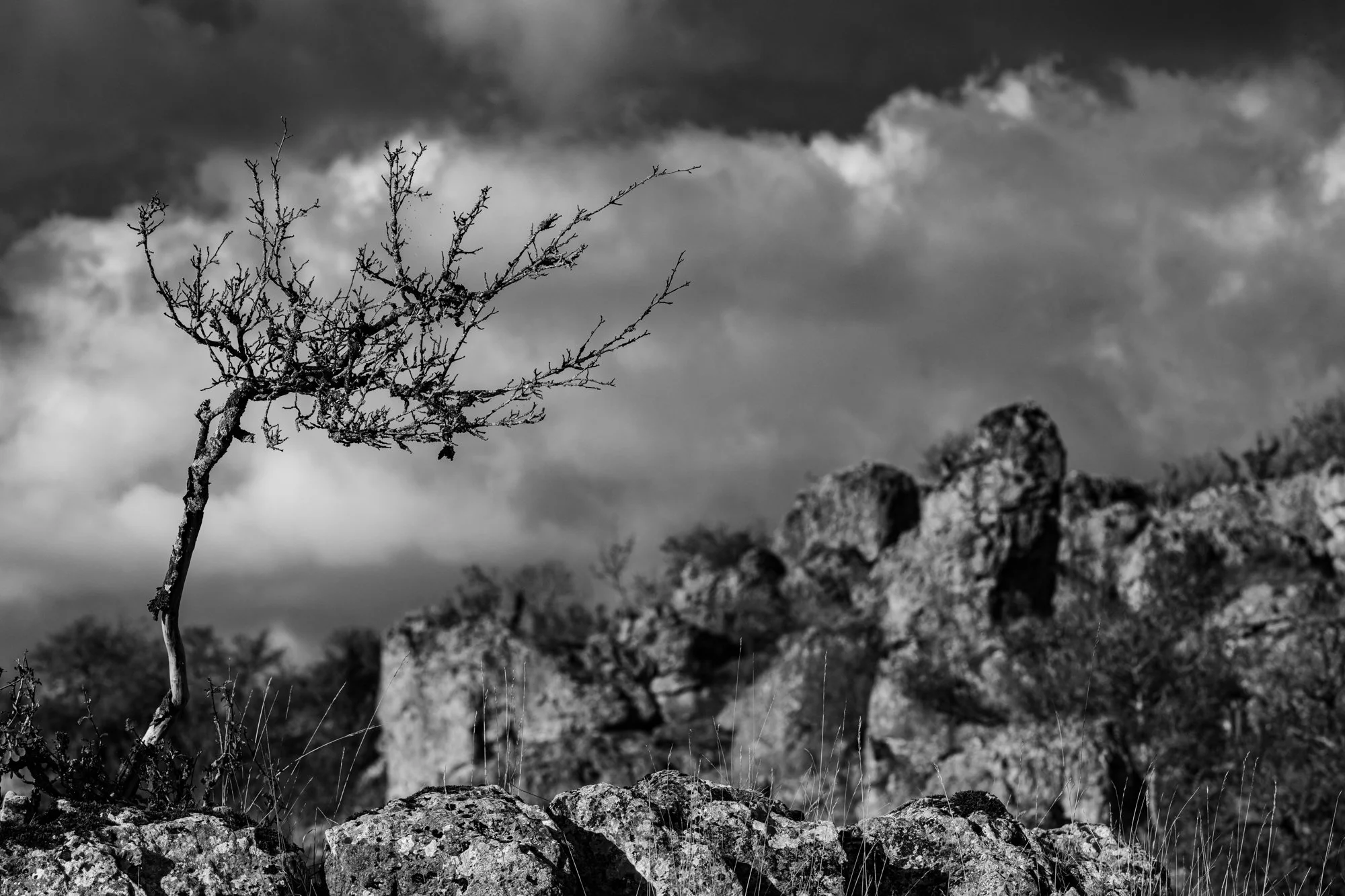 Série photo de Stéphane Ouradou en noir et blanc dans les Cévennes en Lozère