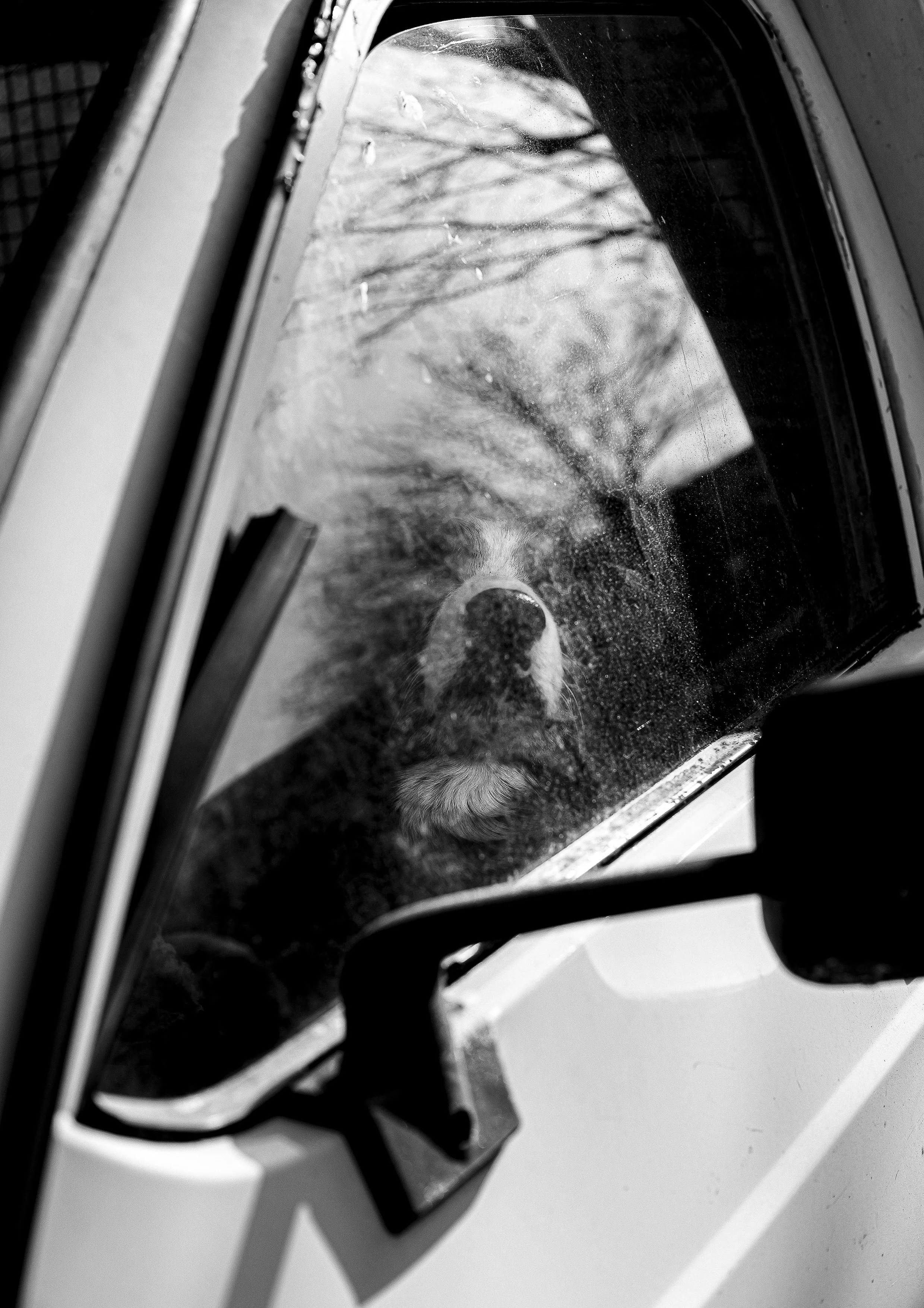 Portrait de la Lozère, capturant sa beauté rude, ses contrastes et l'omniprésence du vent. Photographie issue de la série de Jean-François Pighin, développée dans le cadre du mentorat photo en ligne de Préludes Photo.