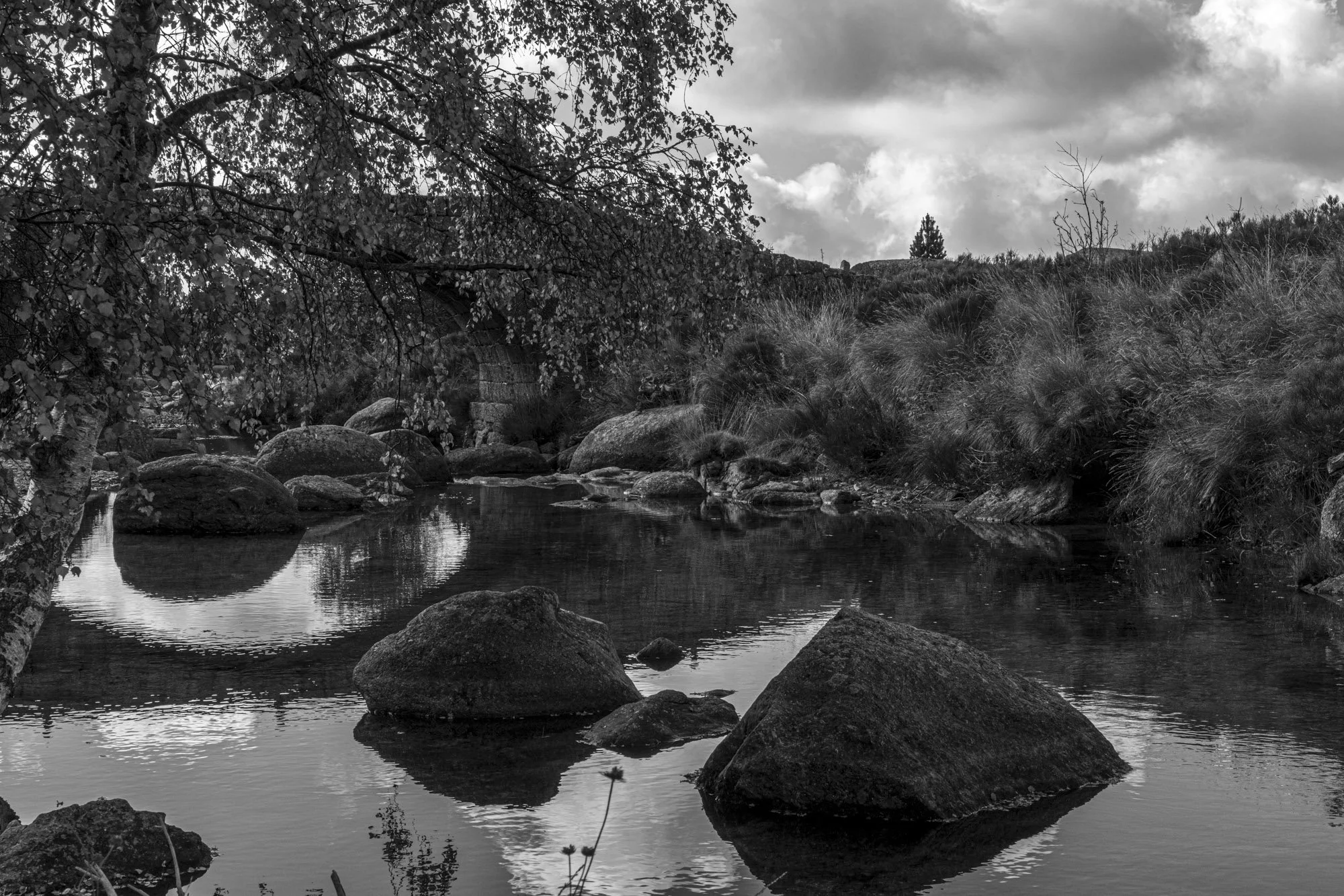 Série photo de Philippe Alliel en noir et blanc dans les Cévennes en Lozère