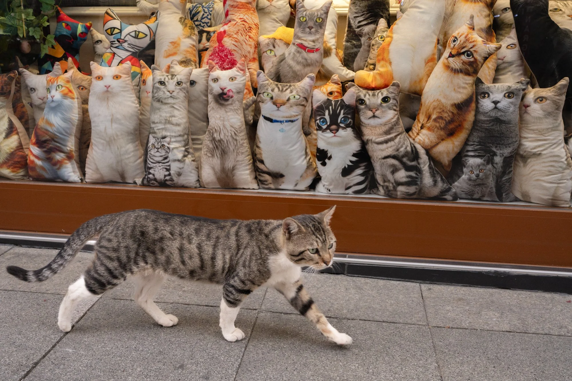 Série photo de Virginia Raoul sur les femmes à Istanbul. Série réalisée durant un voyage photo de Préludes, un workshop 100% dédié à la photo de rue et documentaire
