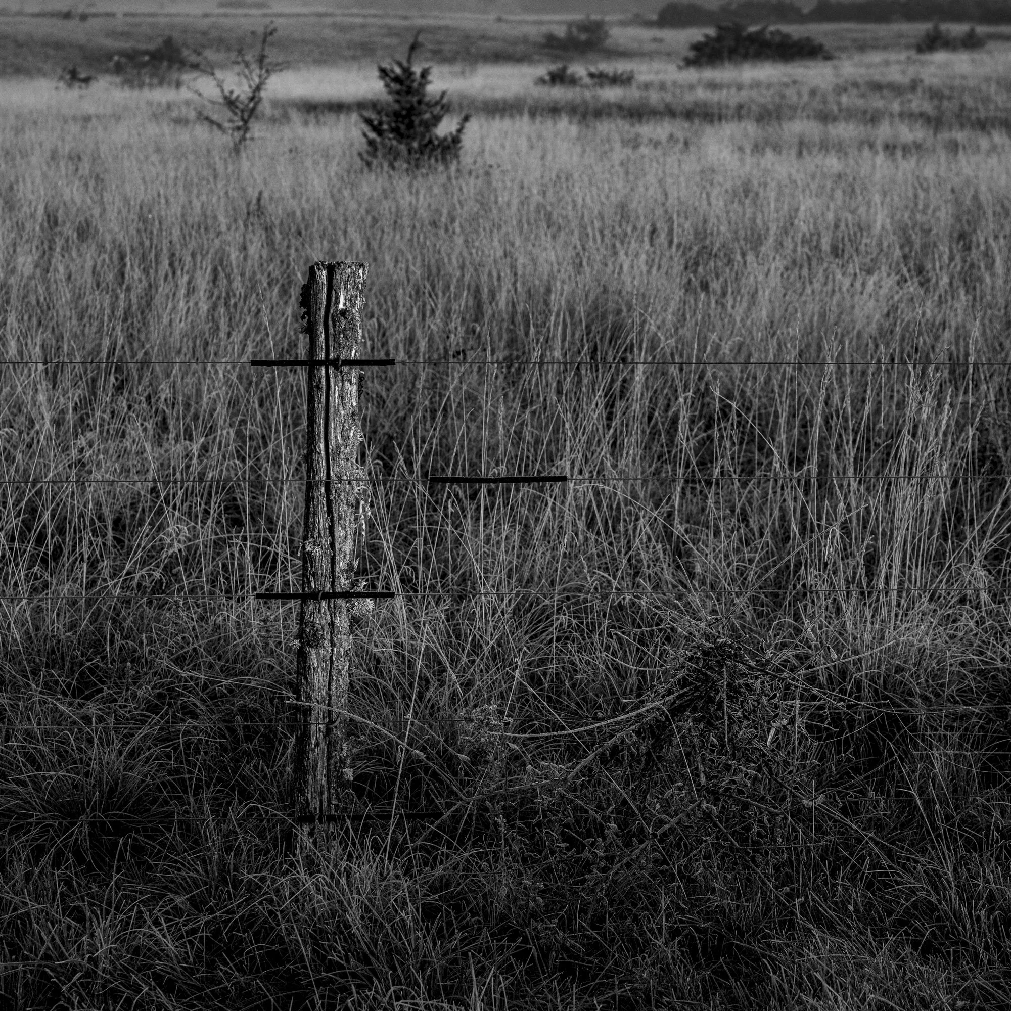 Série photo de Philippe Alliel en noir et blanc dans les Cévennes en Lozère
