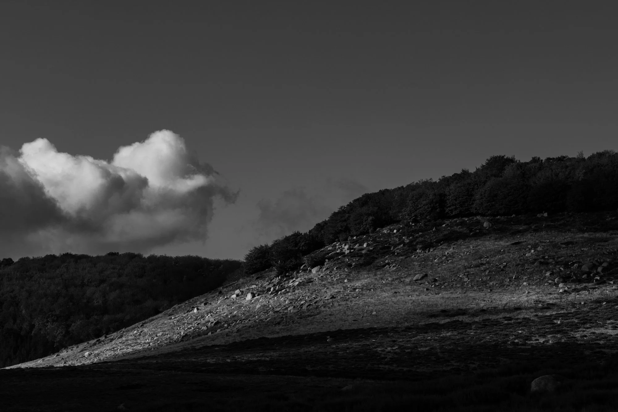 Série photo de Stéphane Ouradou en noir et blanc dans les Cévennes en Lozère