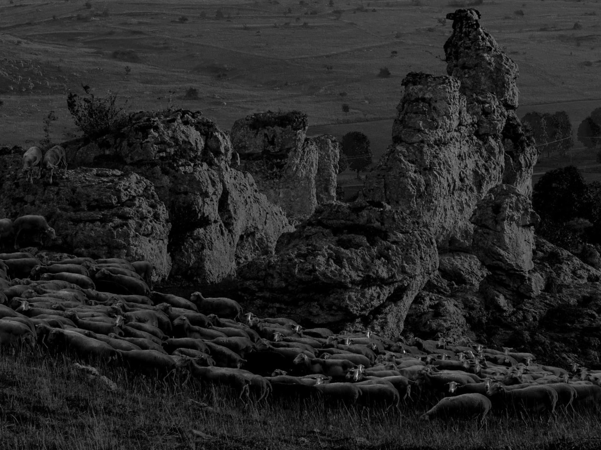 Série photo de Christian Taquet en noir et blanc dans les Cévennes en Lozère