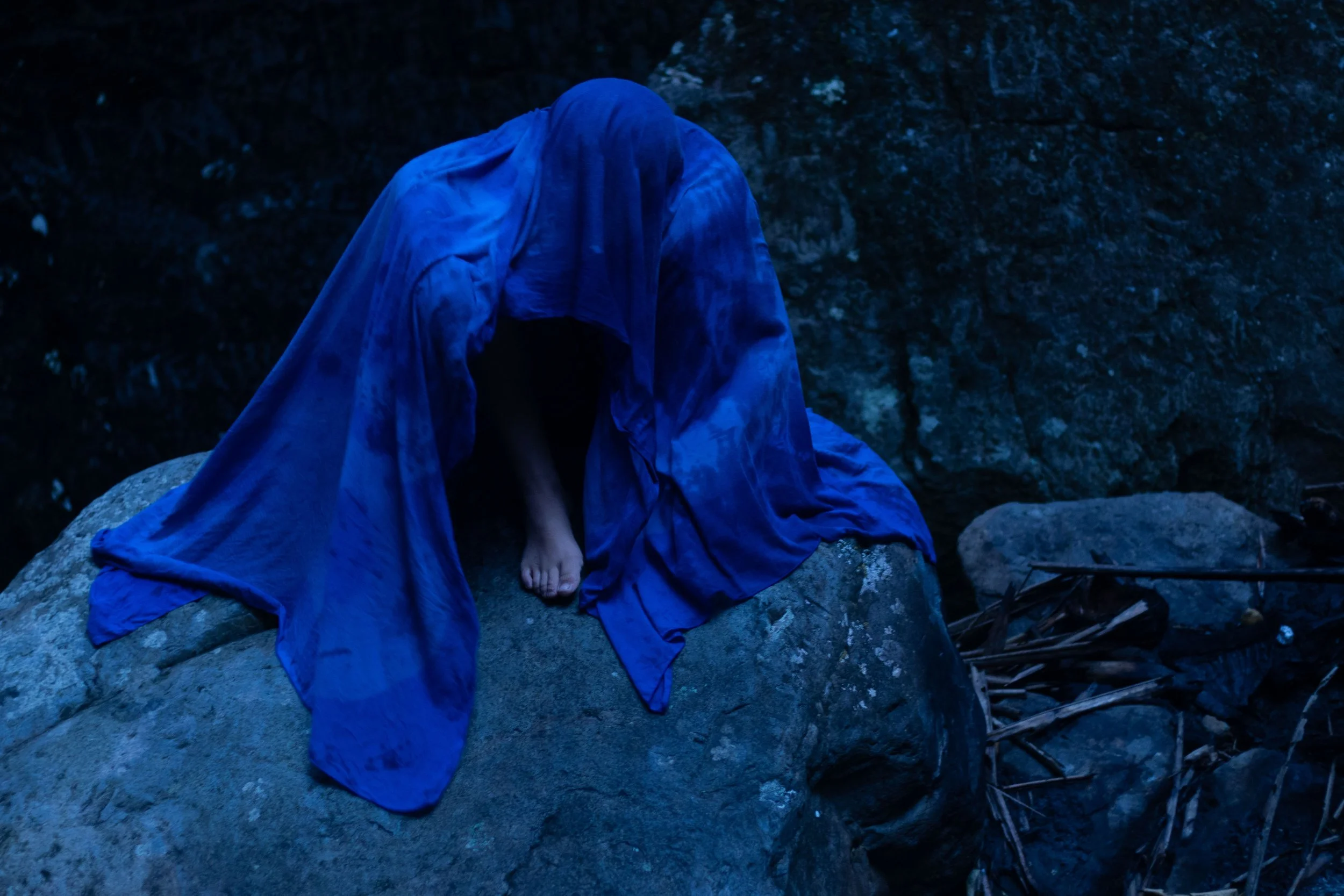 Paysage rocheux et végétation fragile de l'île de Ua-Pou aux Marquises, baigné dans une lumière crépusculaire teintée de bleu. Photographie issue du projet "Retiens le bleu" d'Edwina Bellahouel, développé dans le cadre du mentorat photo en ligne de P